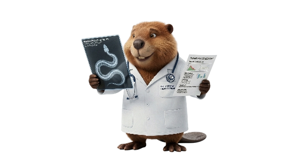 Medical Records